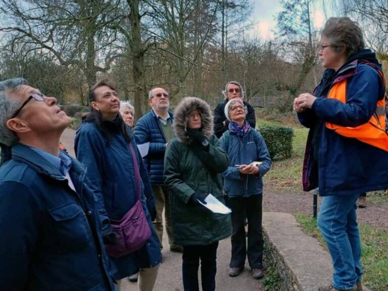 A photo of people at the Friends of Castle Park Winter Tree ID February 2023
