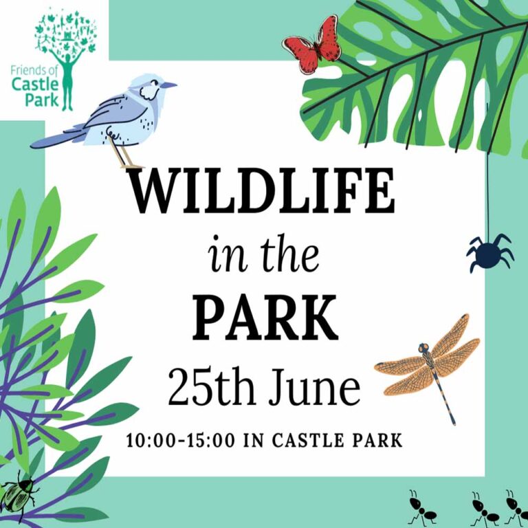 Wildlife in the Park