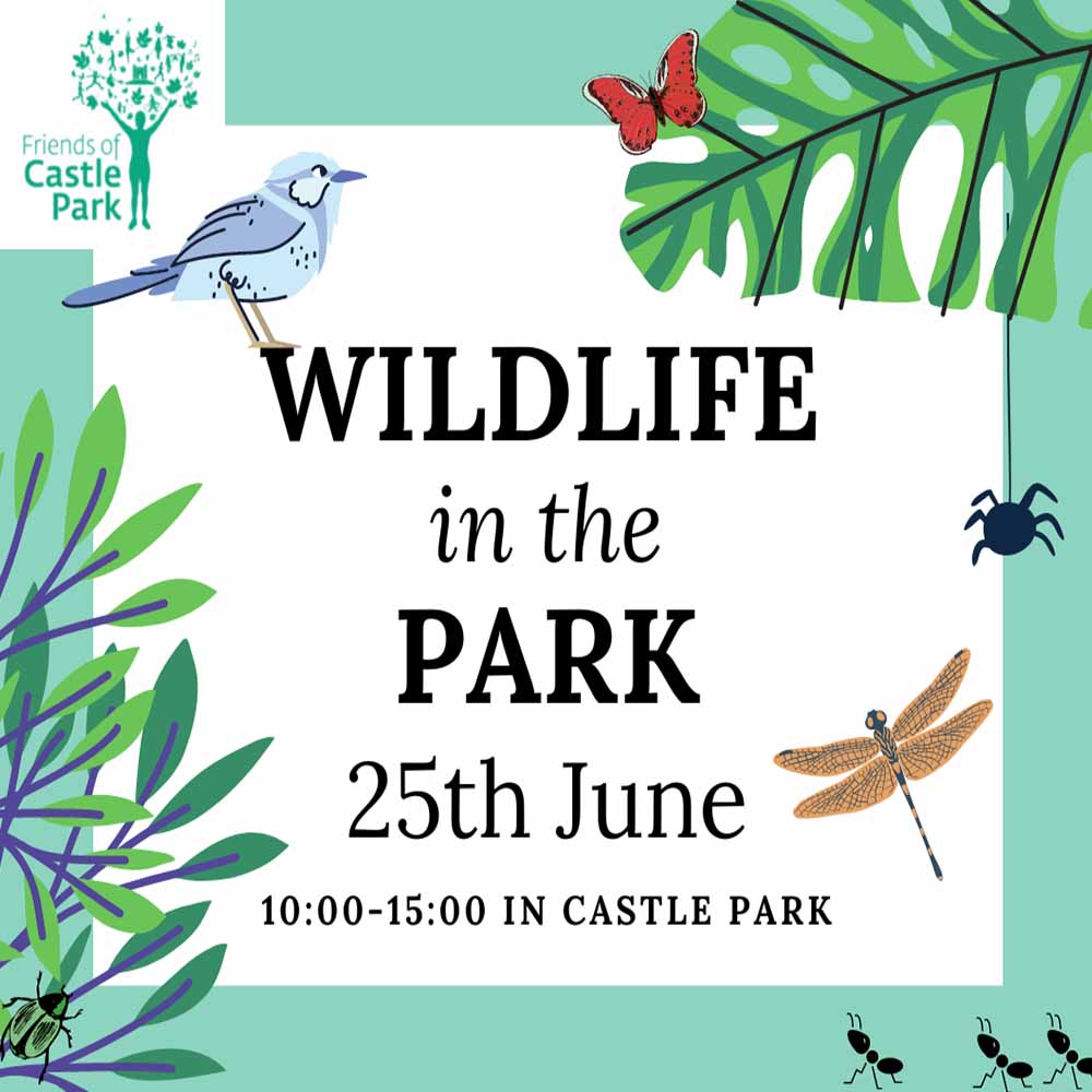 Wildlife in the Park